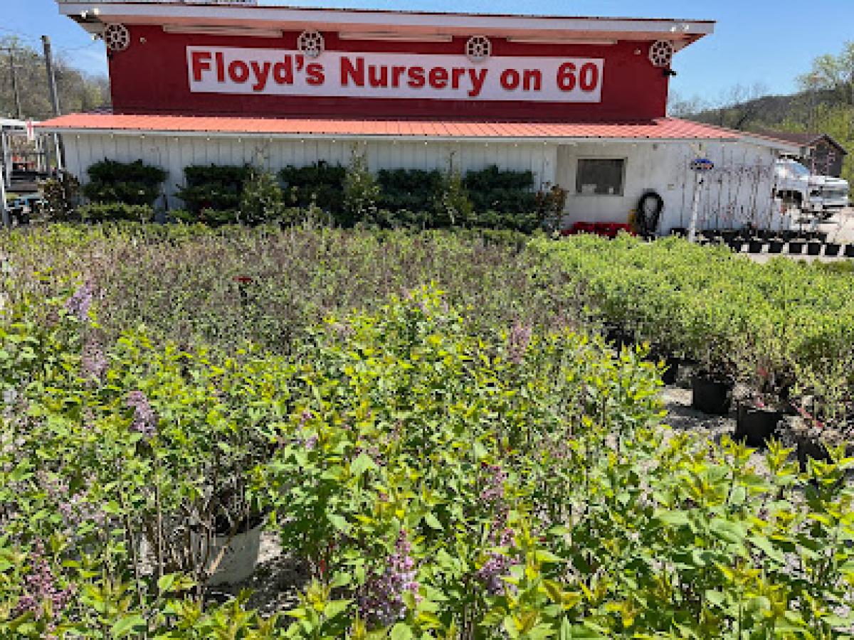 Floyd's Nursery On Rt. 60