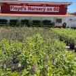 Floyd's Nursery On Rt. 60