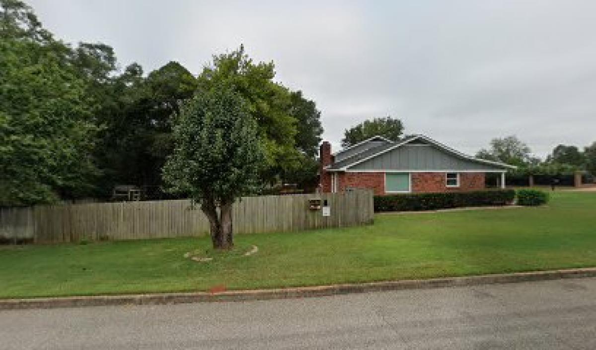 Local Honey (brucesbees)