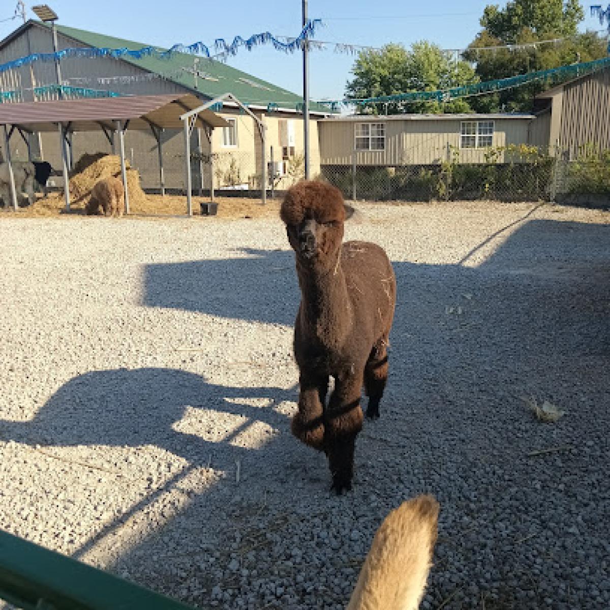 Henslers Town and Country Market