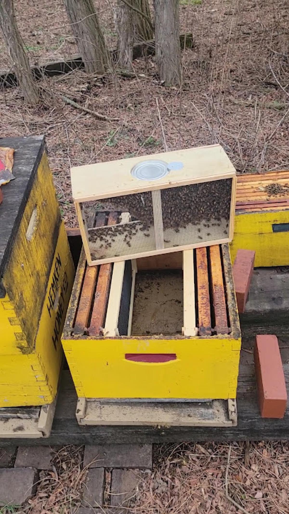 Hemken Honey Company