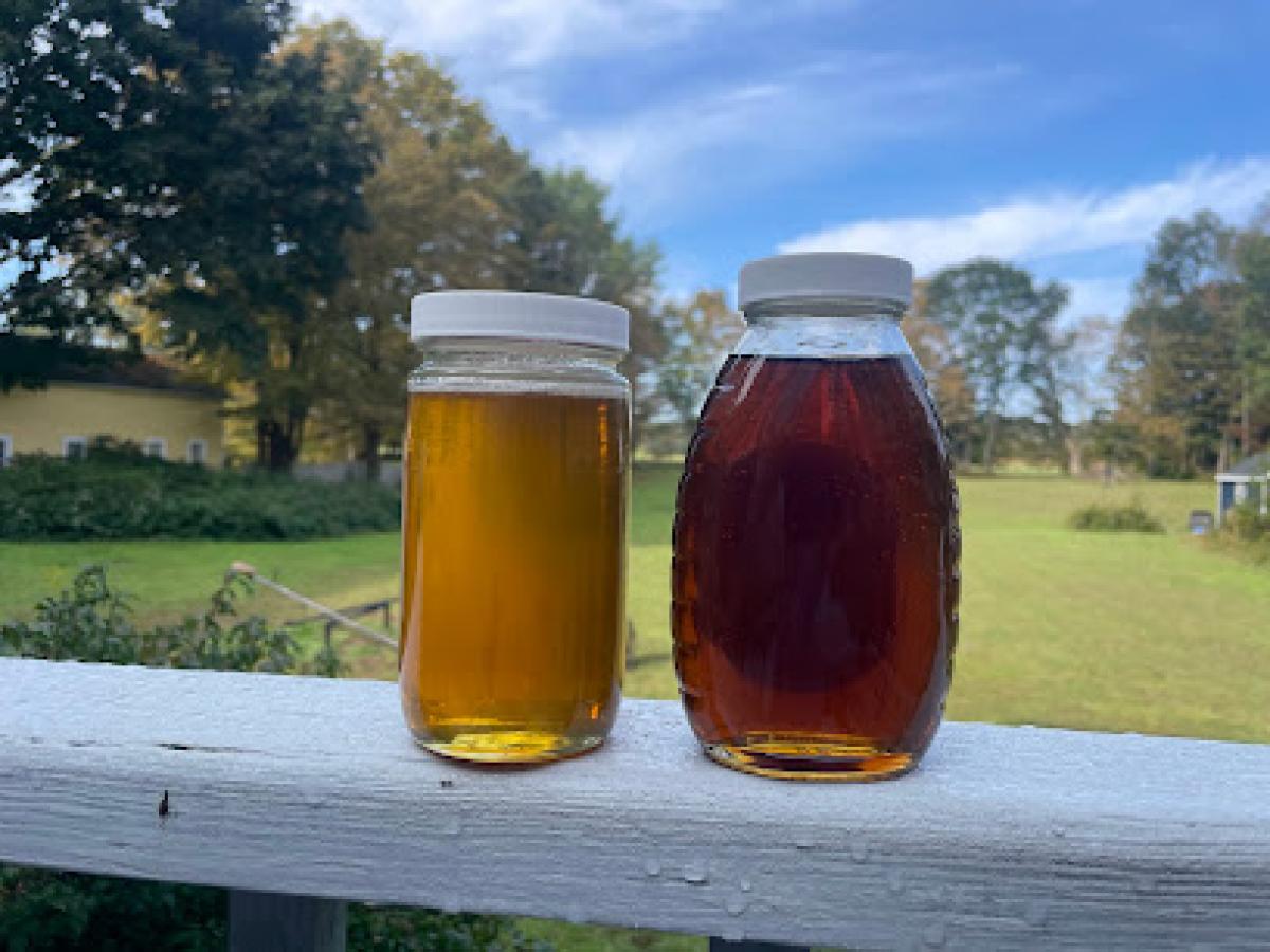 Bee Hollow Farm & Apiary