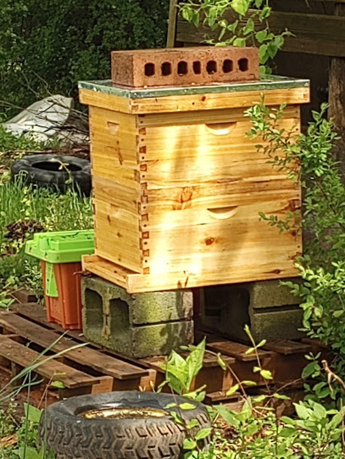 Queen Bee Honey Farm LLC