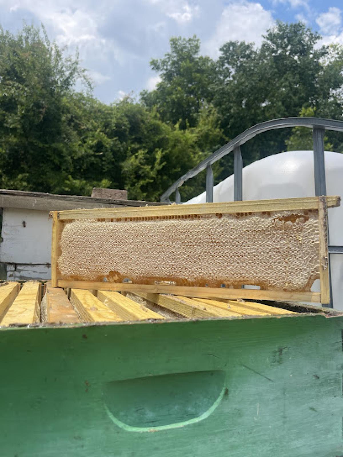 Dukes Apiaries Honey