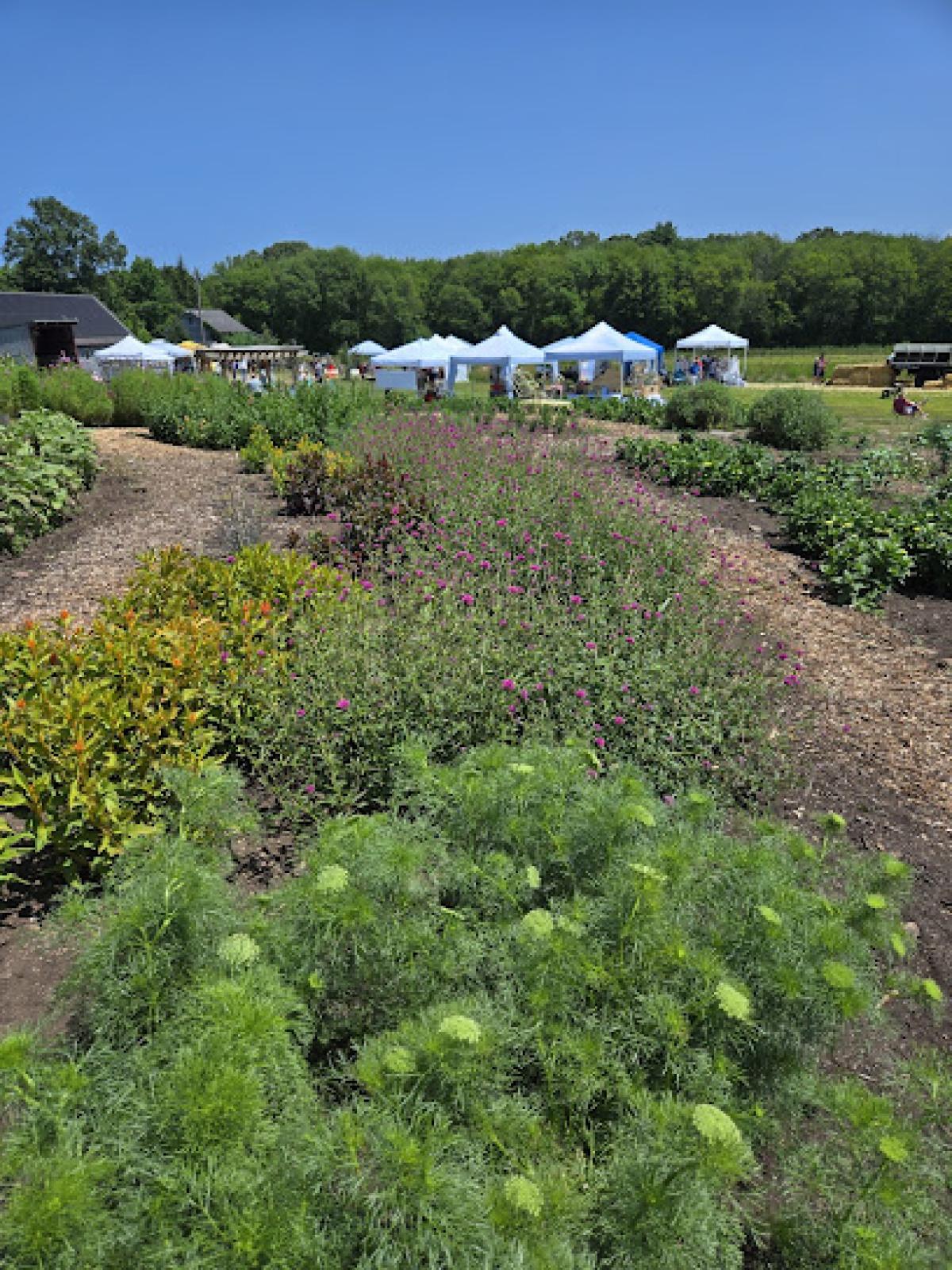 Mountain View Farm II