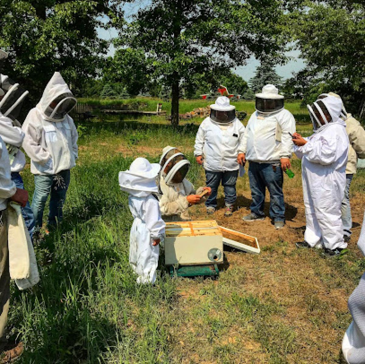 Hickory Tree Farm Apiaries