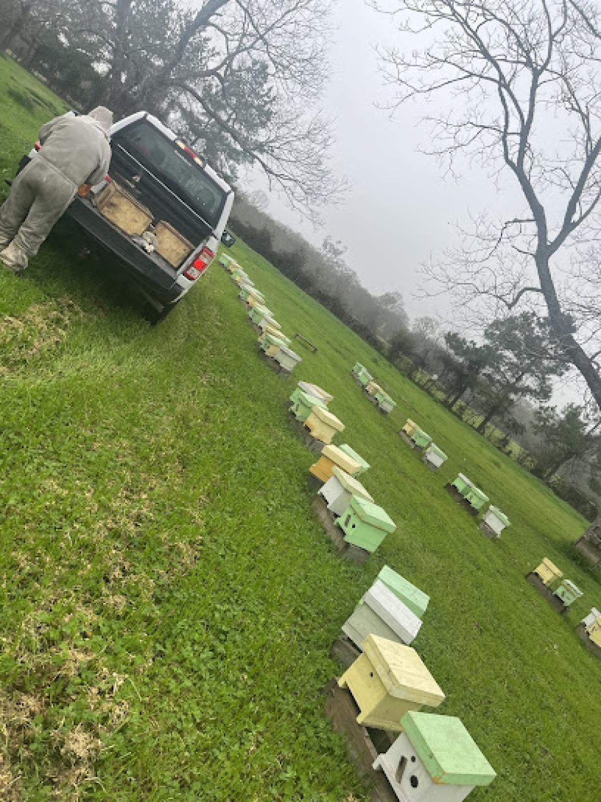 Lake Pearl Honeybee Farms