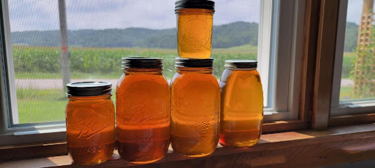 Lee's Bees Apiary LLC