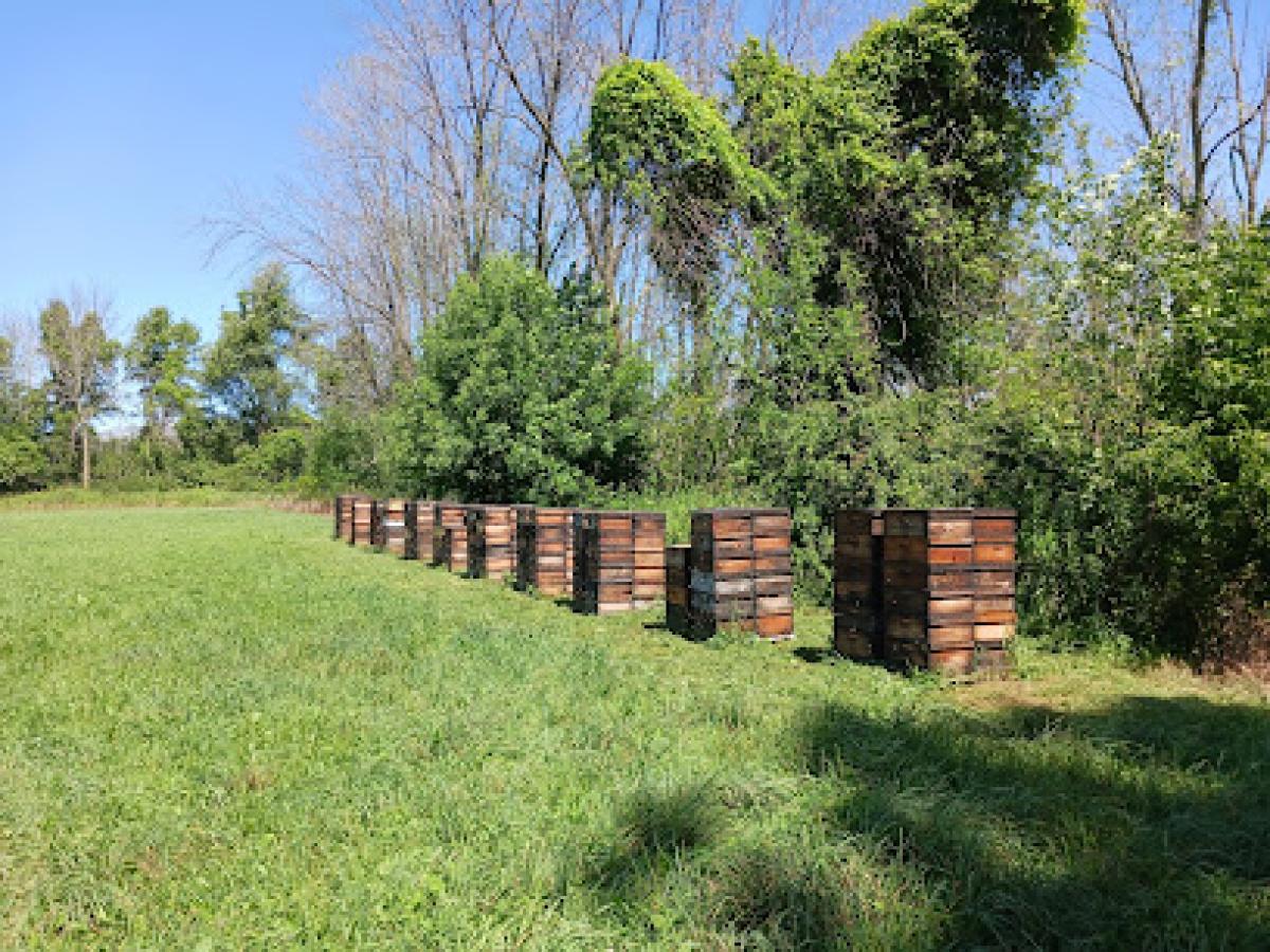Honey Land Farms