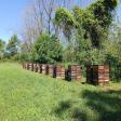 Honey Land Farms