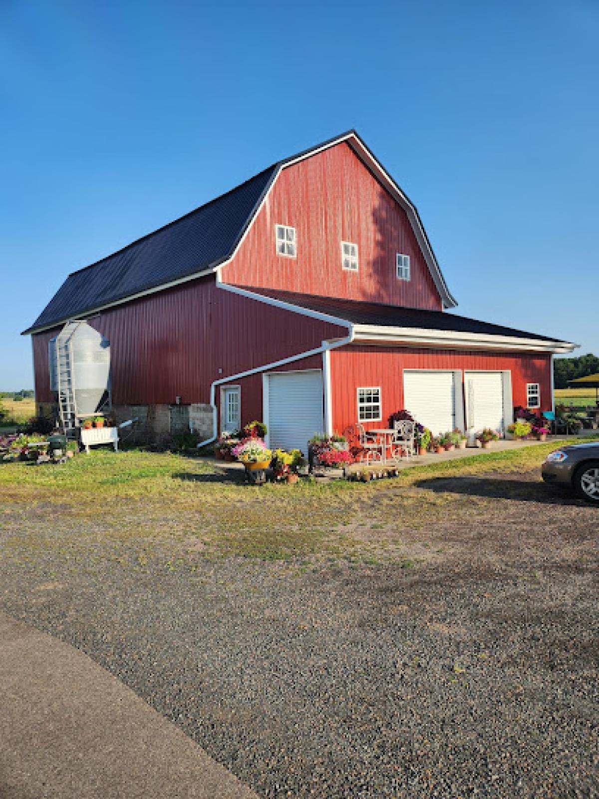 Mornin' Sunshine farm