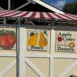 Montgomery Place Orchards