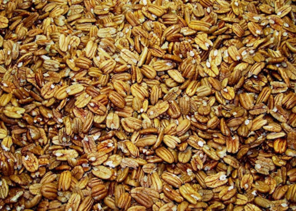 Missouri Northern Pecan Growers, LLC