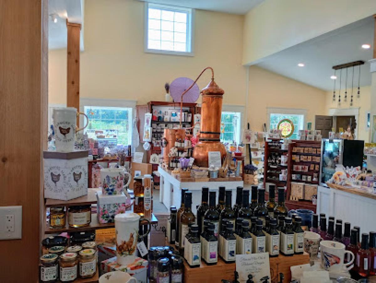 Battlefield Lavender