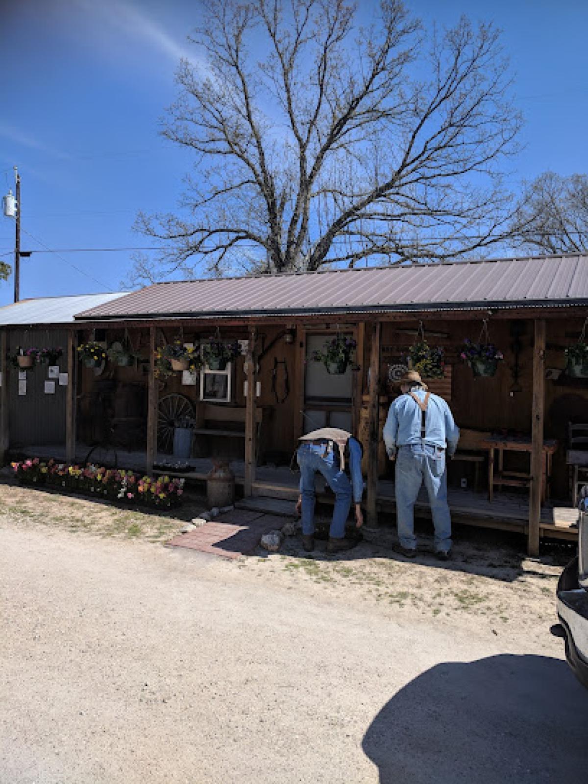 Greasy Creek General Store