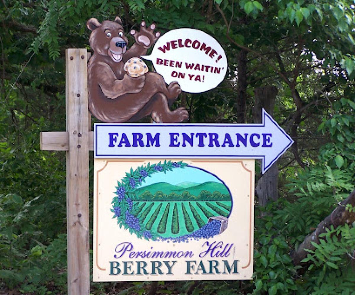 Persimmon Hill Farm