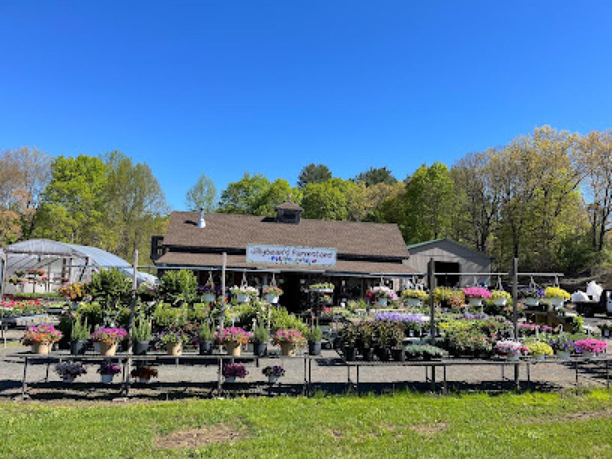 Jillybean’s Farmstand LLC