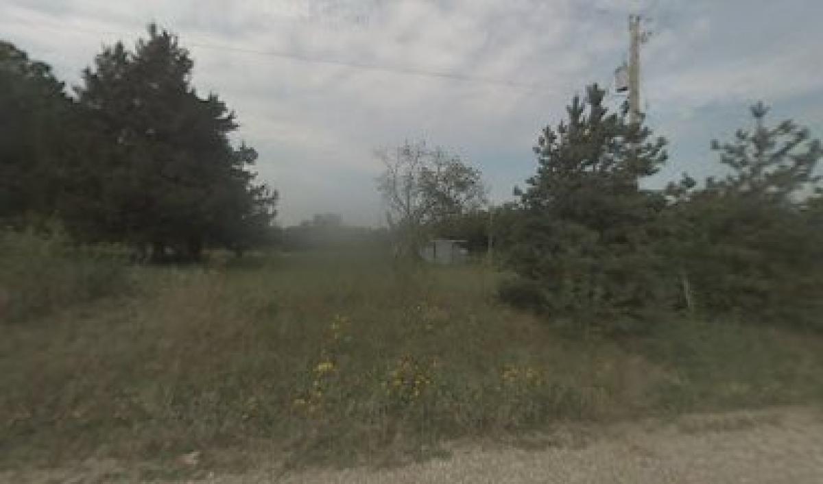 Blossom Trail Bee Ranch