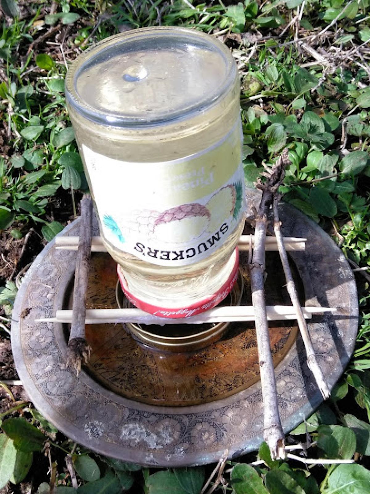 Fruit Trees and Bees