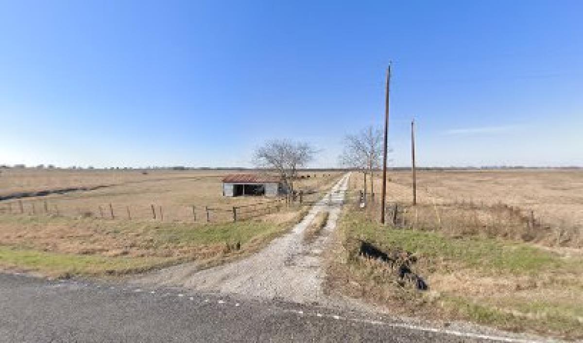 Blackland Farm & Cattle