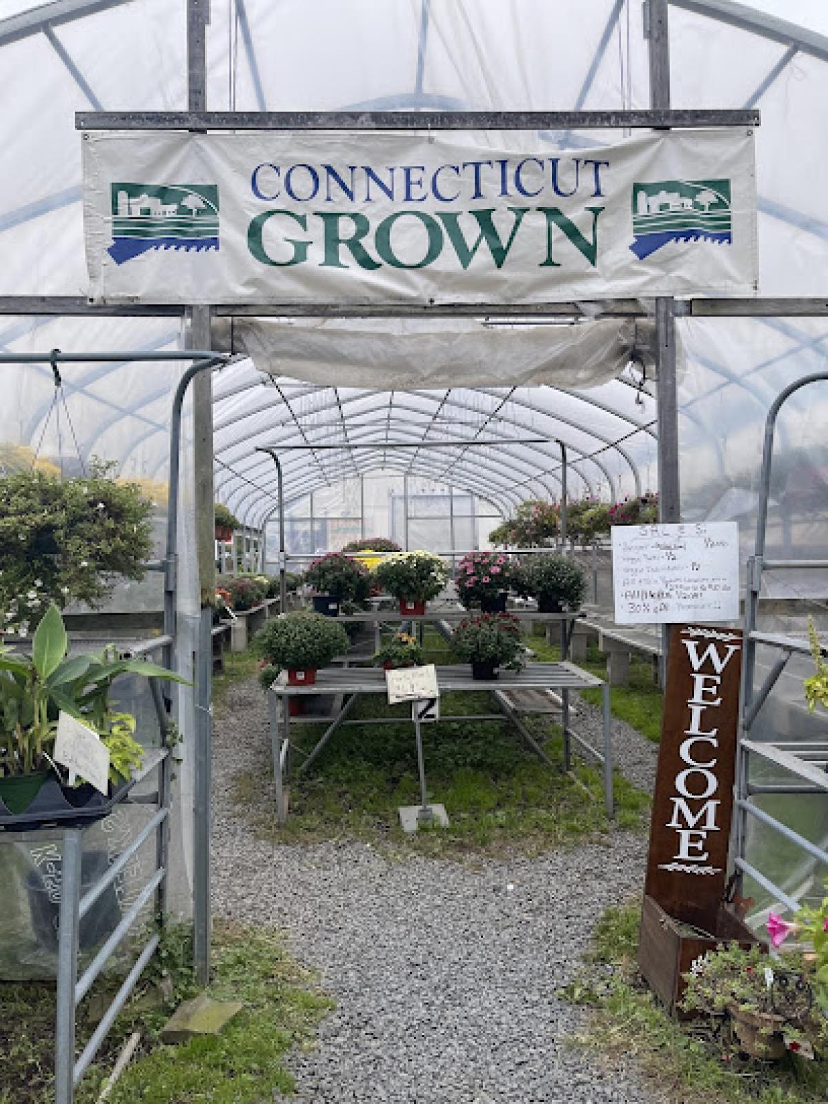 Meadow Wind Farm Market