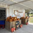 Peach Tree Farms