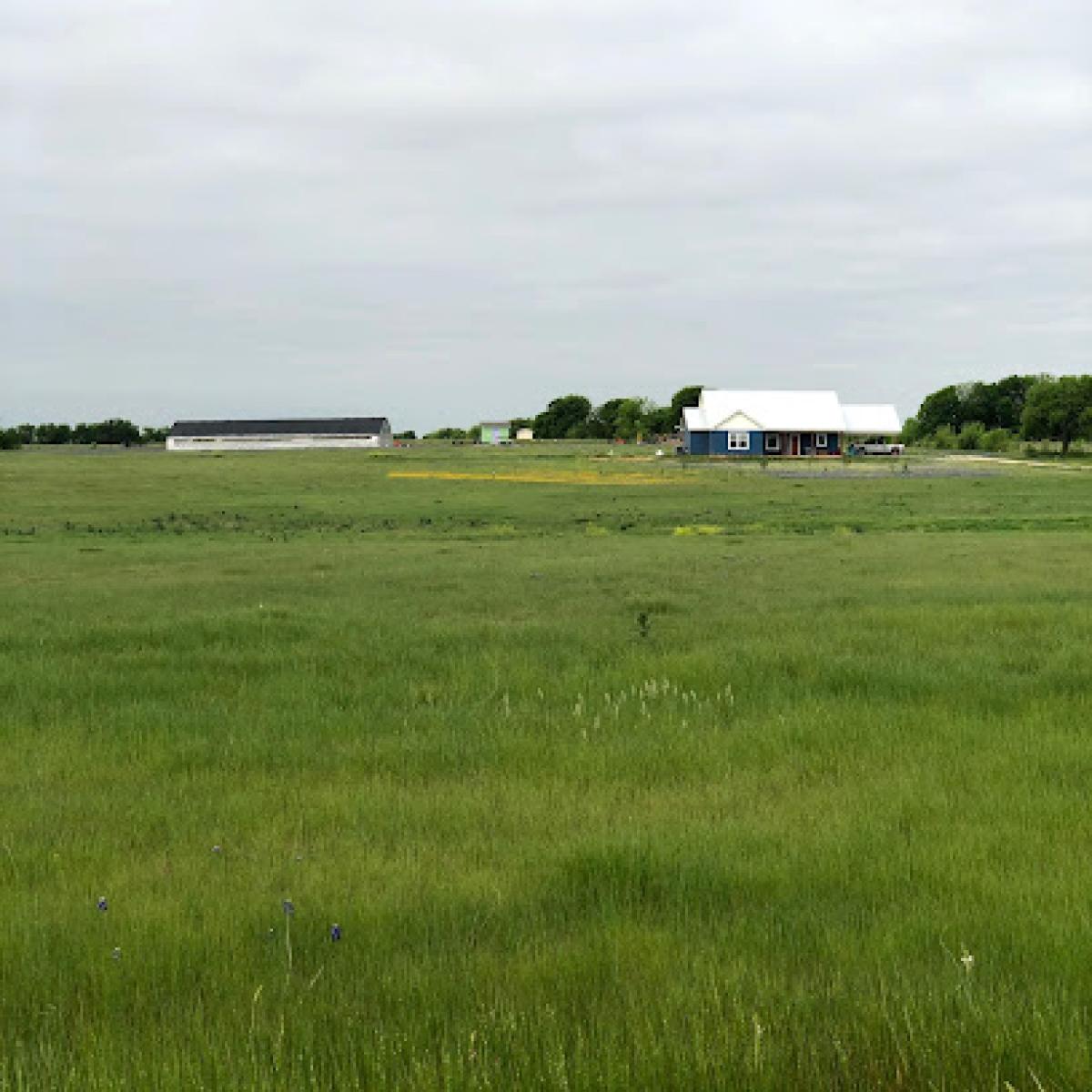 ARTillery Avenue Farm