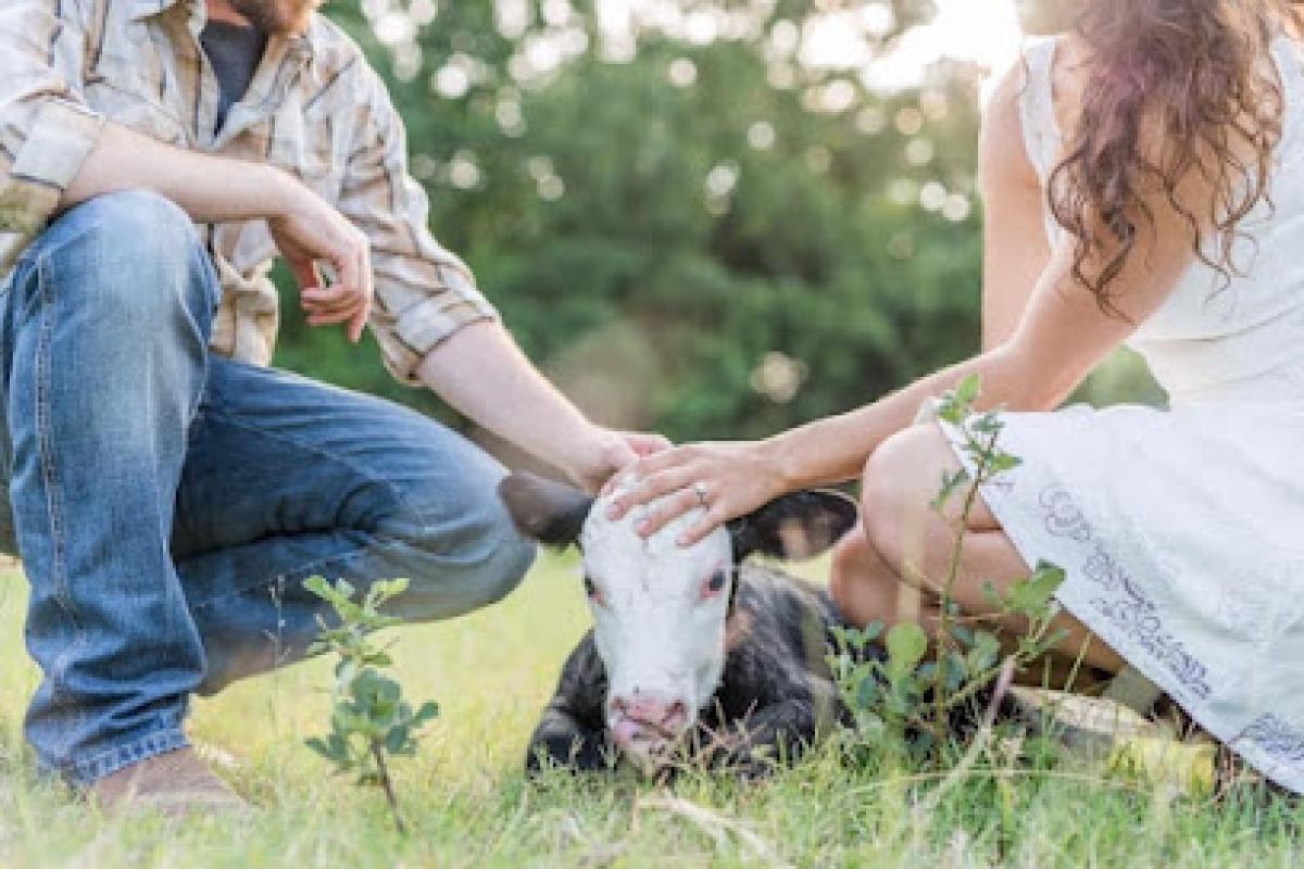 Permaculture Pastures
