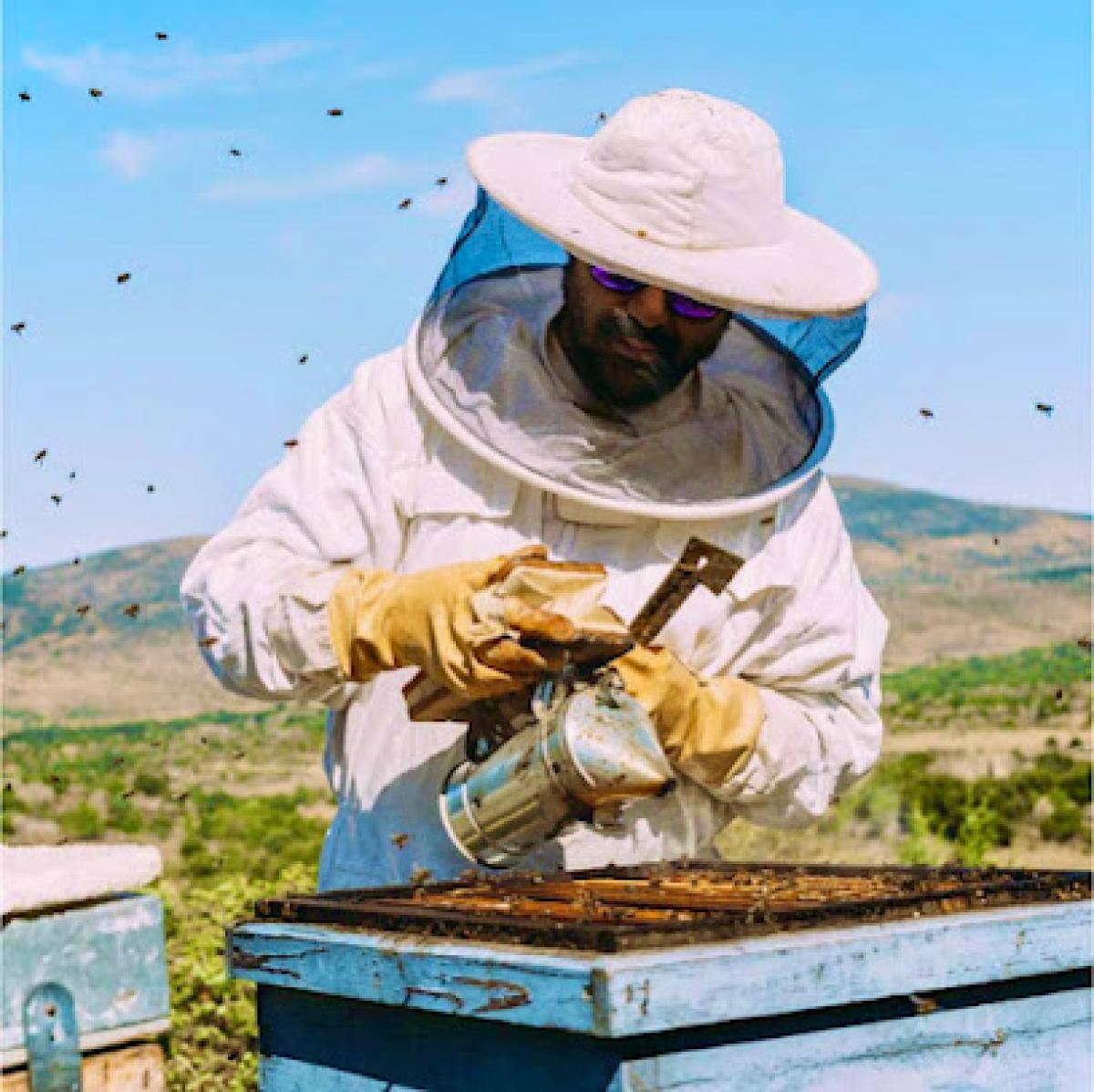 HIVE Honey Farms