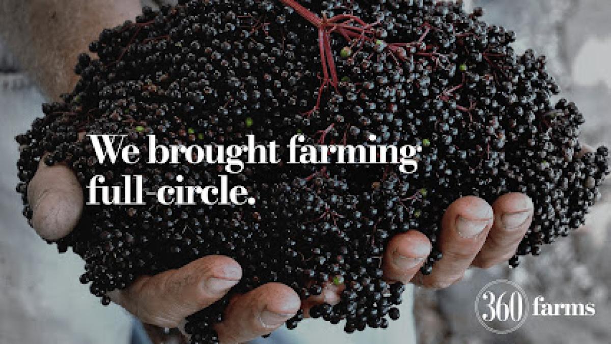 360 Farms