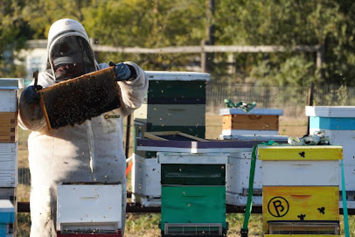 Circle B Farm & Apiary