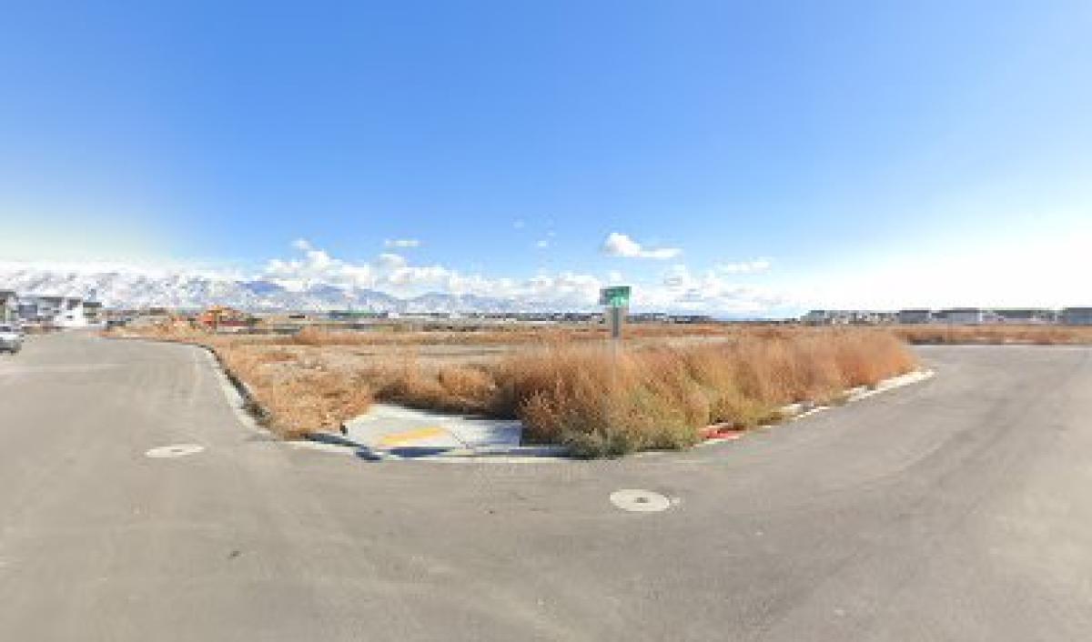 Apollo's Artisanal Honey