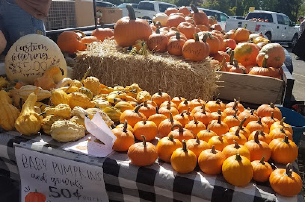 Spanish Fork Farmer's Market: Last Saturday in July - October