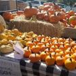 Spanish Fork Farmer's Market: Last Saturday in July - October