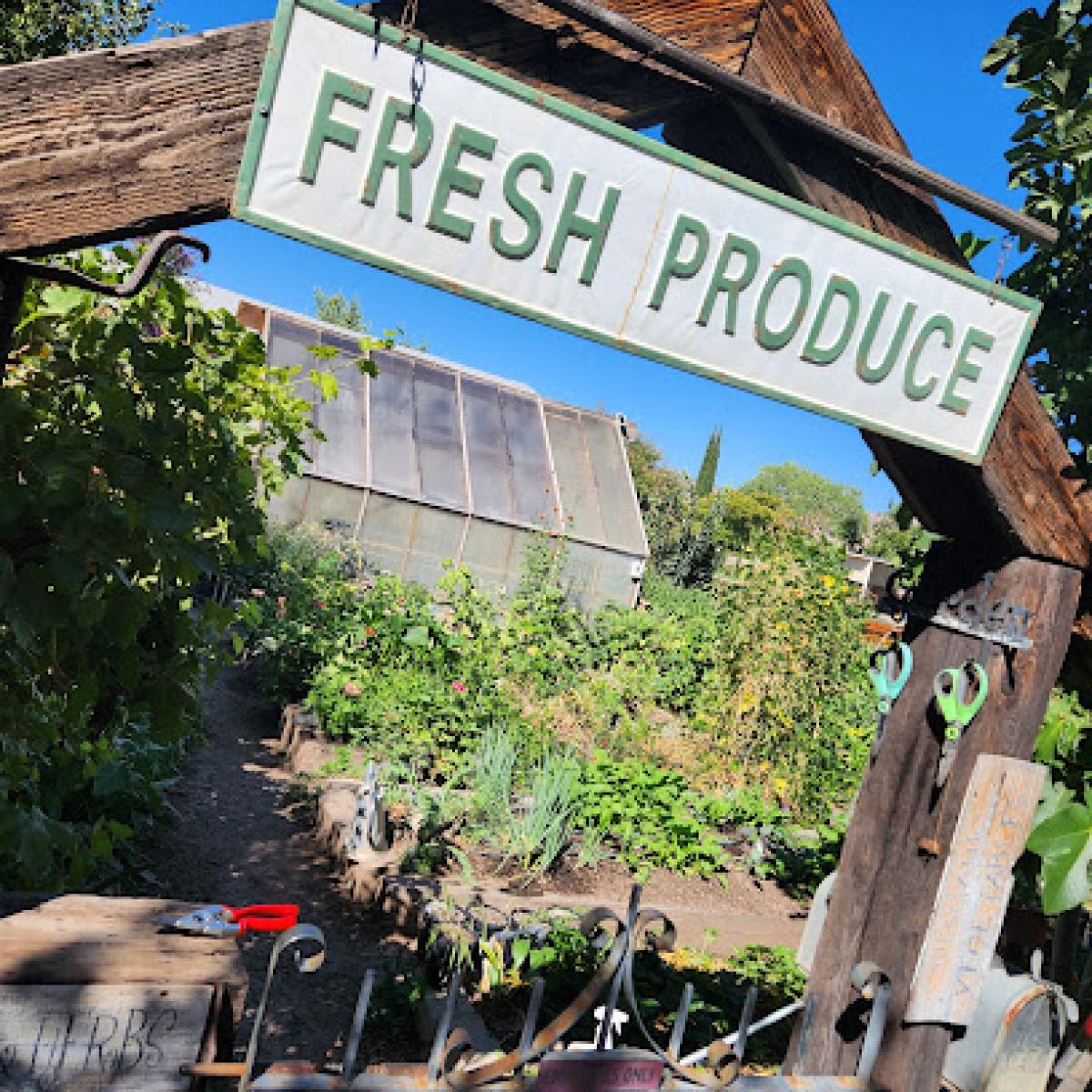 Ali's Organics Garden & Homestead Farm Stand