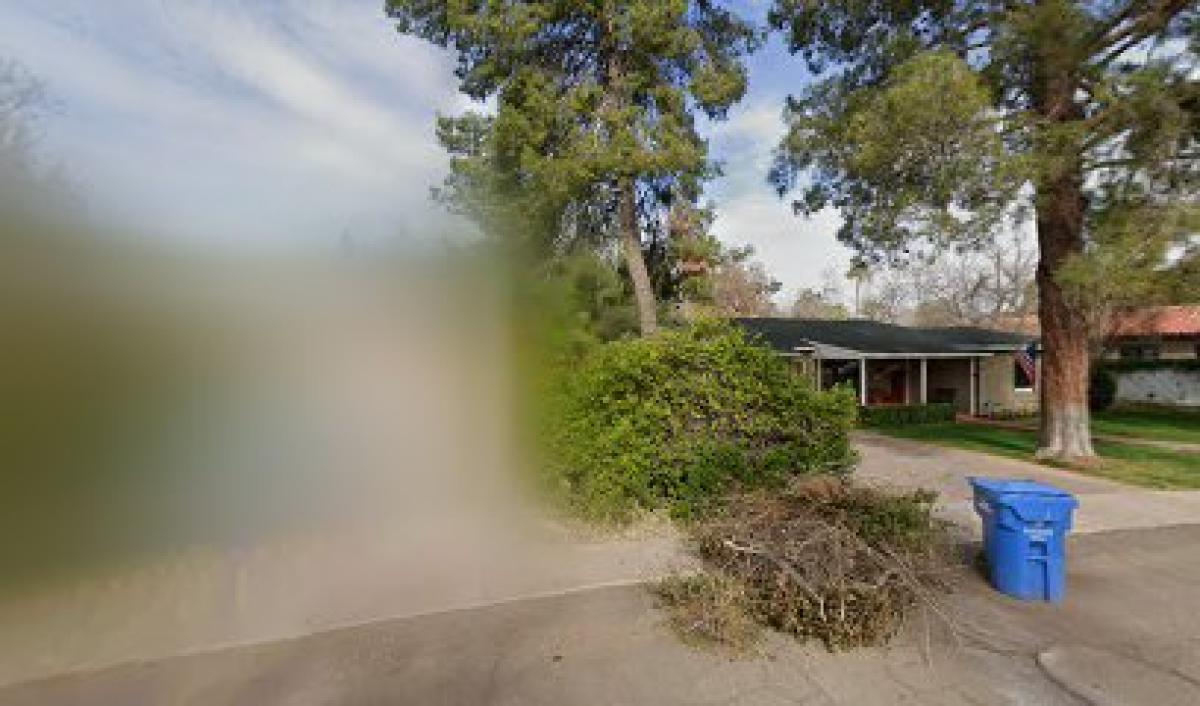 Beekeeper Total Bee Control