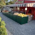 MEYER’S FARM & GREENHOUSES