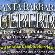 Santa Barbara Blueberries