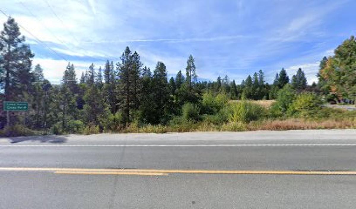 McClaughry Farms Honey