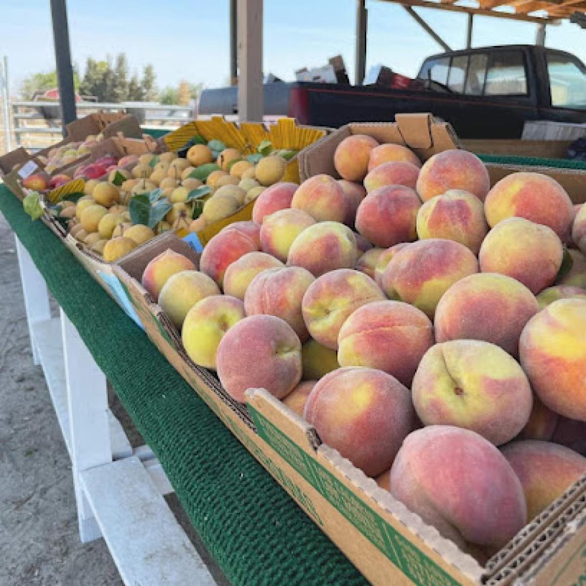 Salinas Family Orchard
