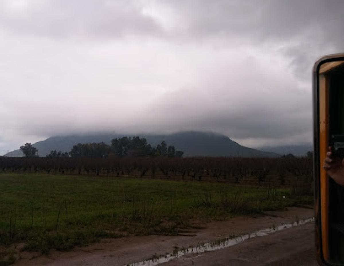 Burkett's Pollination Inc