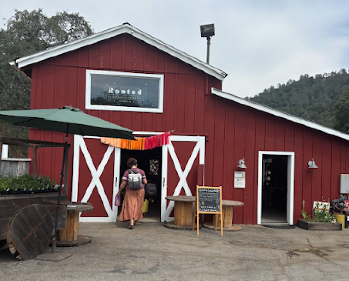 Rooted In Season Market