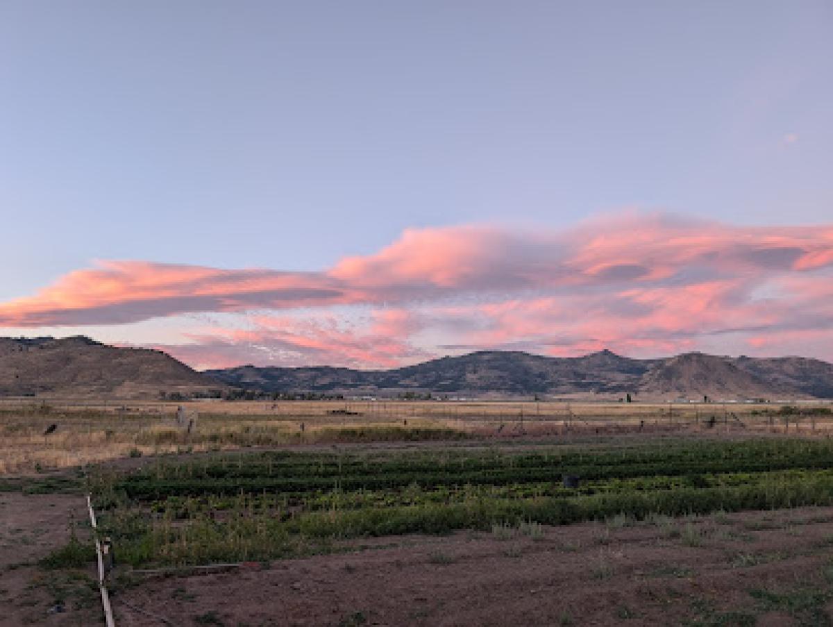 Sierra Valley Farms