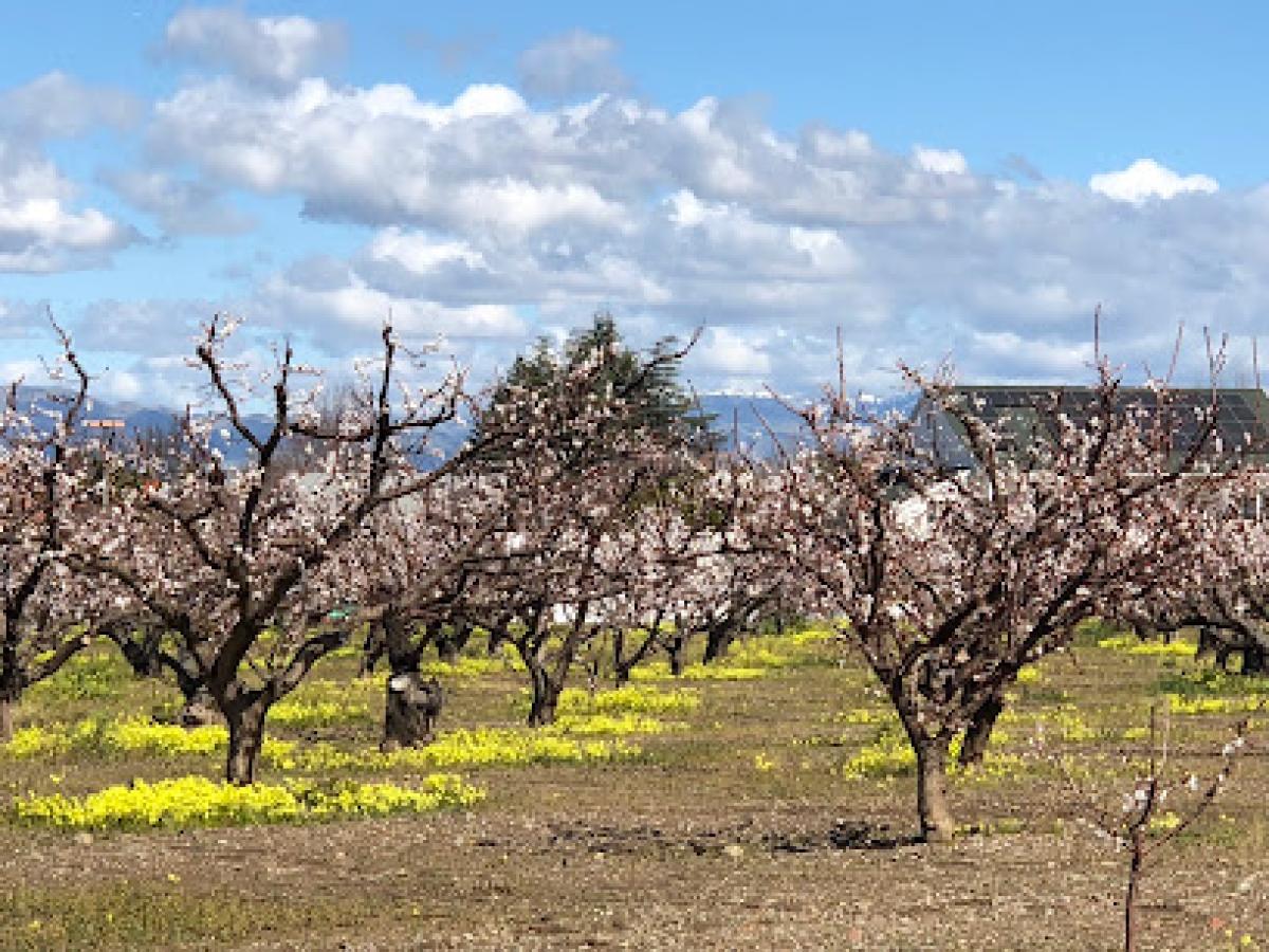 Orchard Heritage Park (Apricot Orchard Barn)