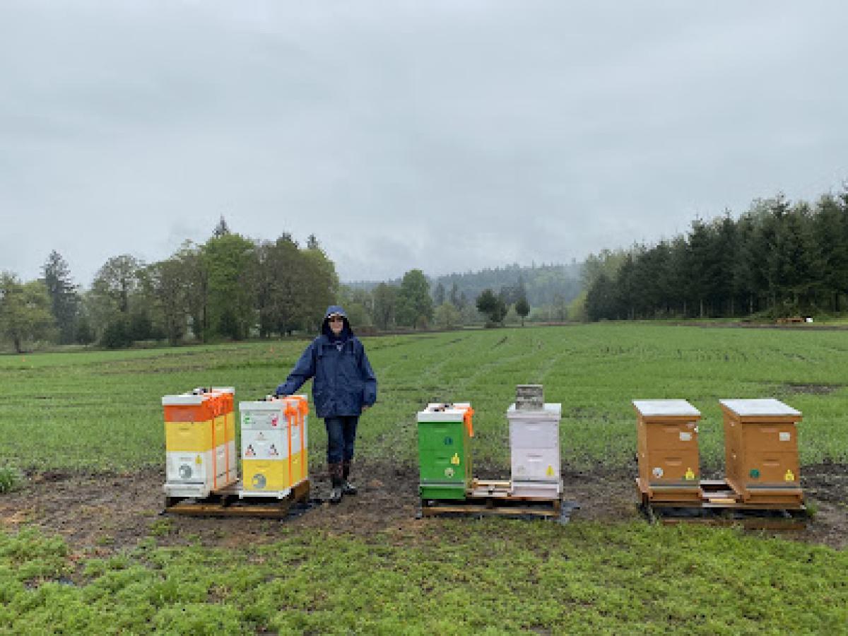 Bee Charmed Farm
