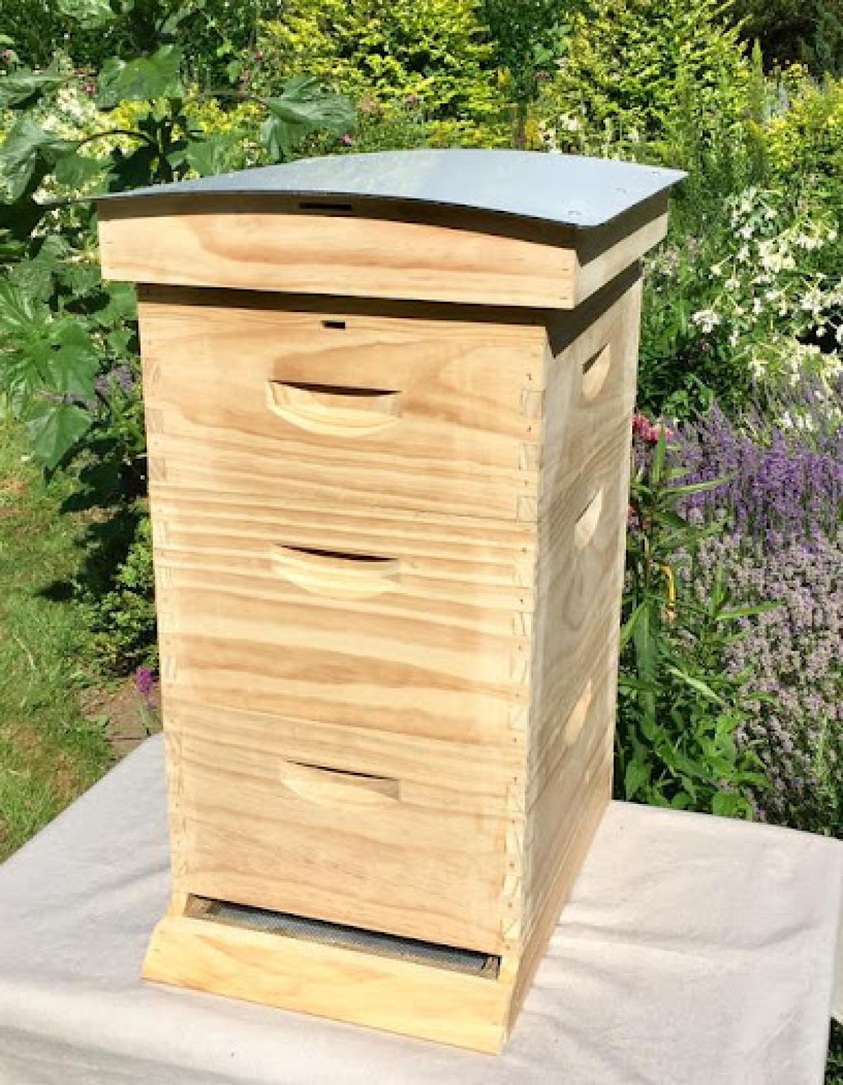 Hive & Garden