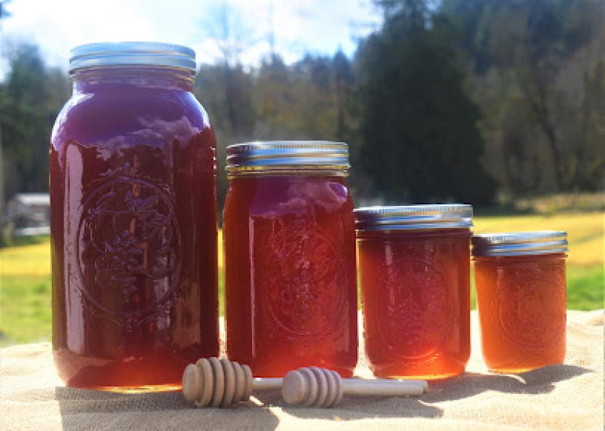 Dairy Creek Farm and Produce