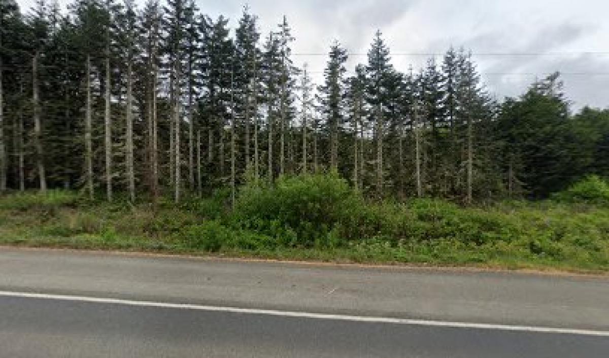 Olympic Wilderness Apiary