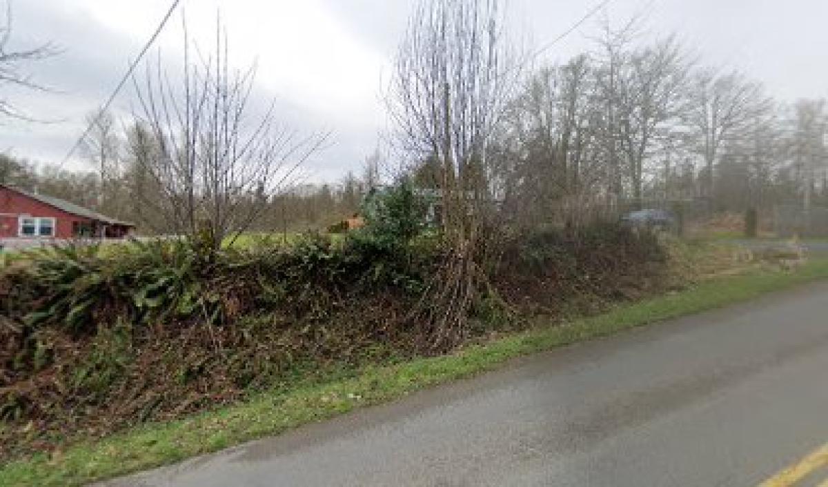 The Bees Knees in Snohomish