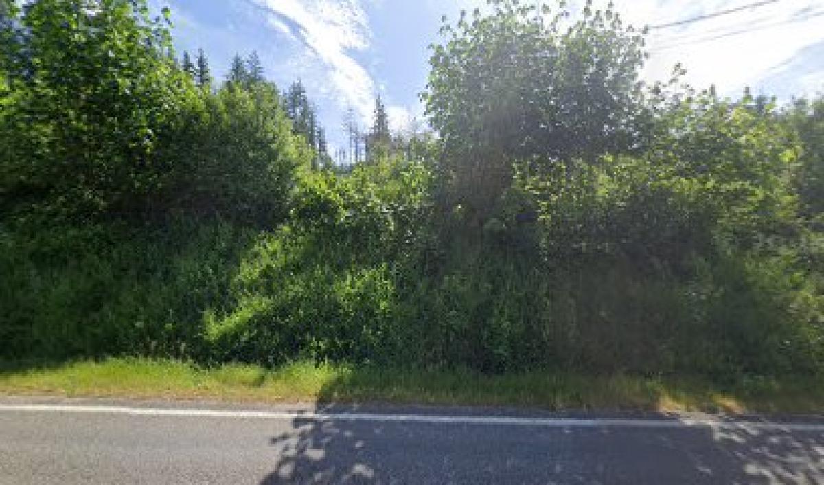 Tarboo Valley Wooden Ware & Honey Bees